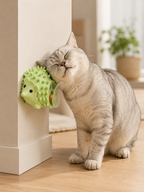 The Corner Scratcher